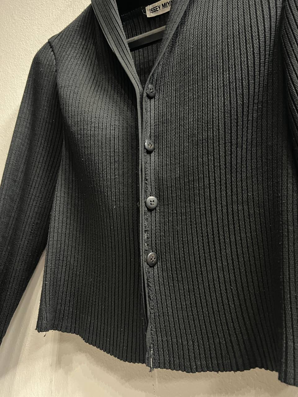 AW07 Issey Miyake Pleated Cropped Jacket